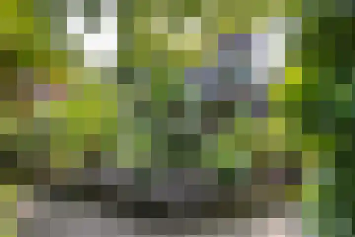 Grotekreek 28 Zwolle thumbnail 67