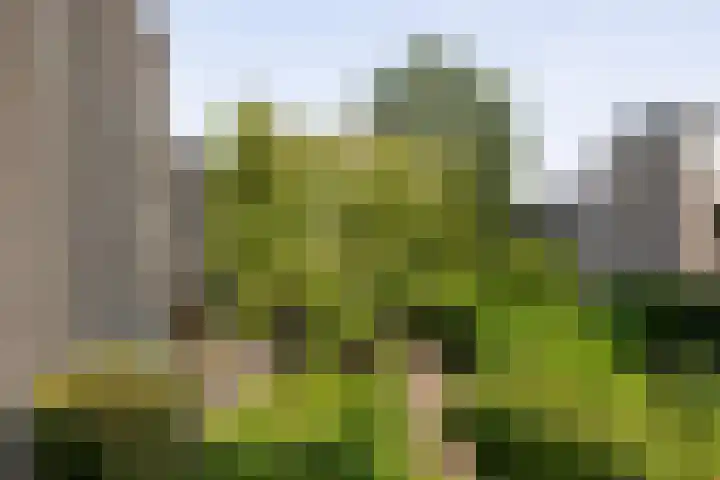 Grotekreek 28 Zwolle thumbnail 68