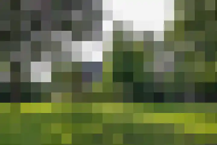 Grotekreek 28 Zwolle thumbnail 69