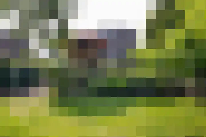 Grotekreek 28 Zwolle thumbnail 70
