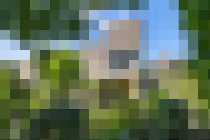 Grotekreek 28 Zwolle thumbnail 71