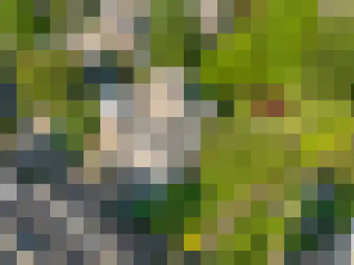 Grotekreek 28 Zwolle thumbnail 72