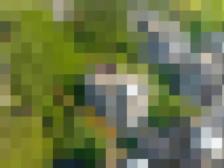 Grotekreek 28 Zwolle thumbnail 73