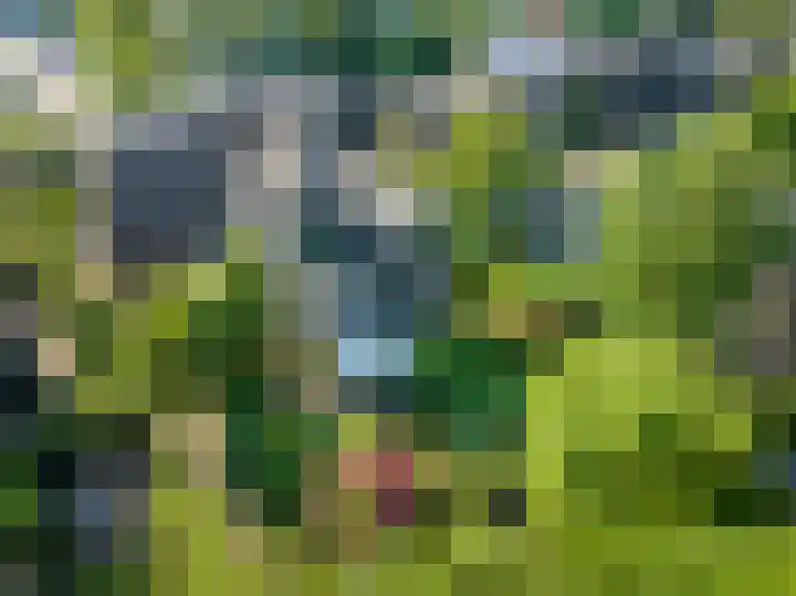 Grotekreek 28 Zwolle thumbnail 74