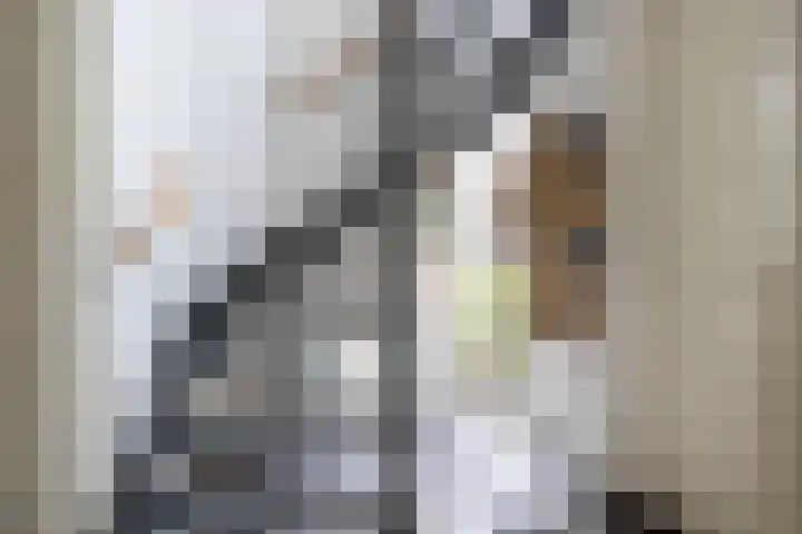 Grotekreek 28 Zwolle thumbnail 9