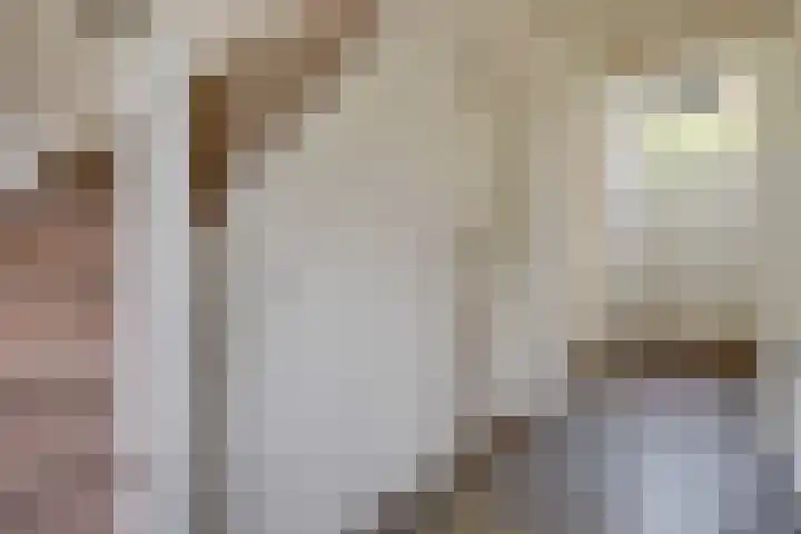 Grotelaan 18 Bunnik thumbnail 25