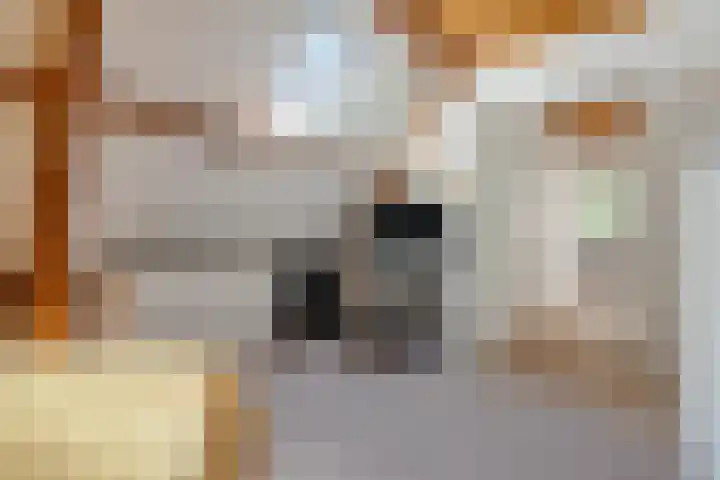Grotelaan 18 Bunnik thumbnail 28