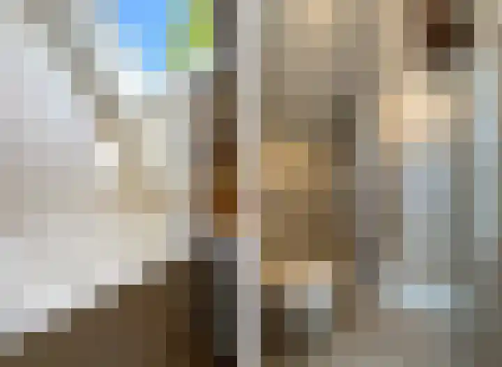 Grotelaan 18 Bunnik thumbnail 30