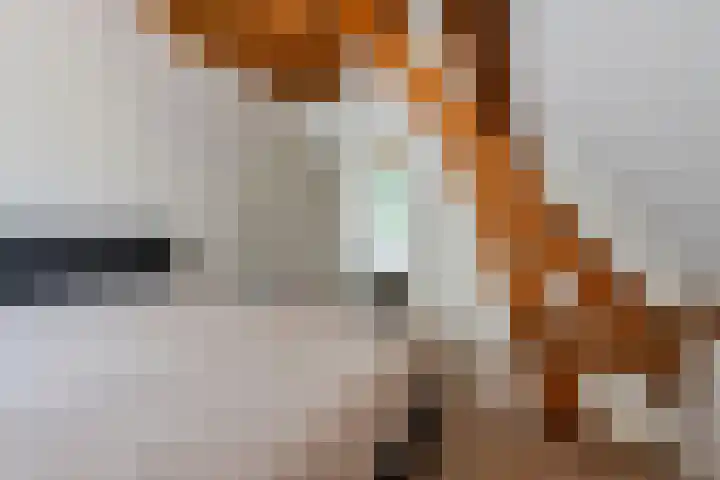 Grotelaan 18 Bunnik thumbnail 32