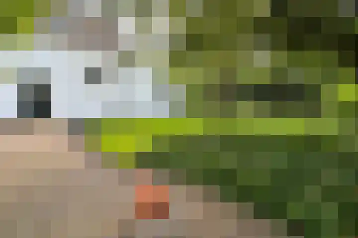 Grotelaan 18 Bunnik thumbnail 39