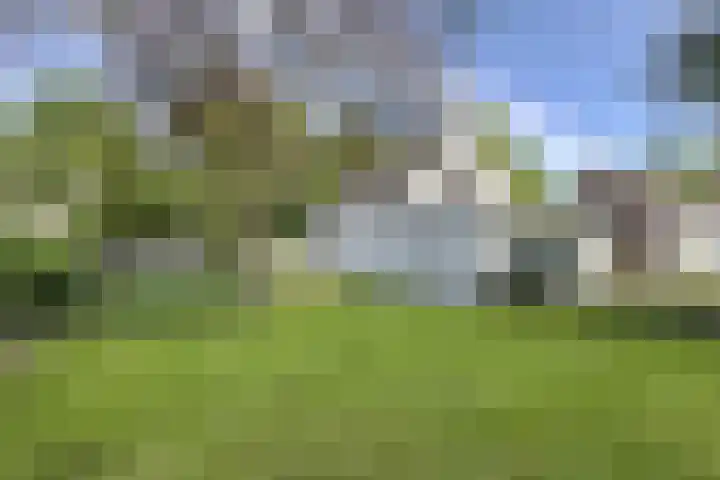 Grotelaan 18 Bunnik thumbnail 4