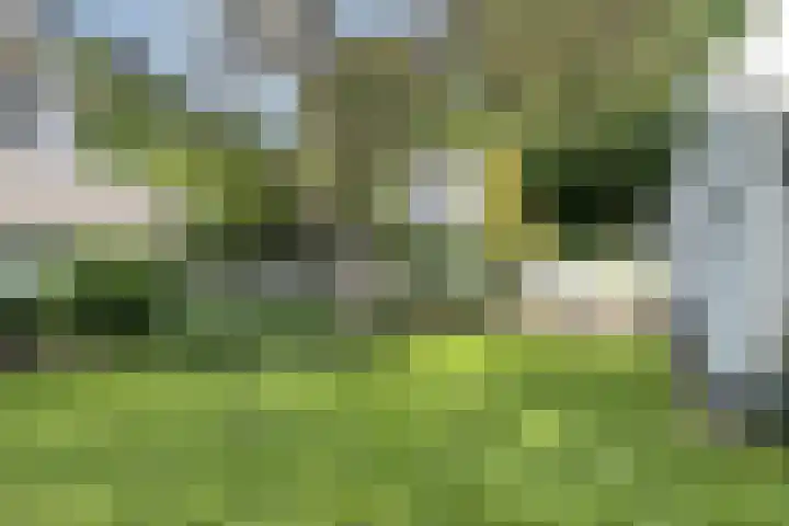 Grotelaan 18 Bunnik thumbnail 41