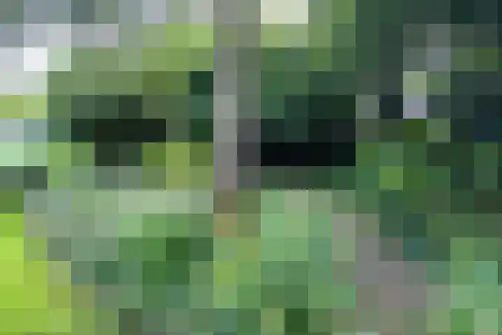 Grotelaan 18 Bunnik thumbnail 44
