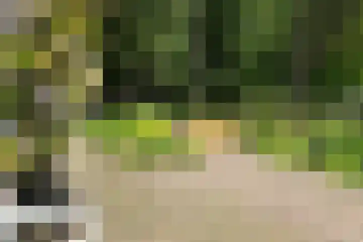 Grotelaan 18 Bunnik thumbnail 45