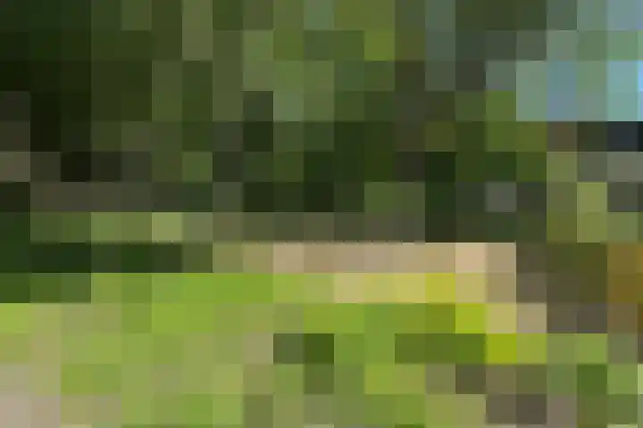 Grotelaan 18 Bunnik thumbnail 46