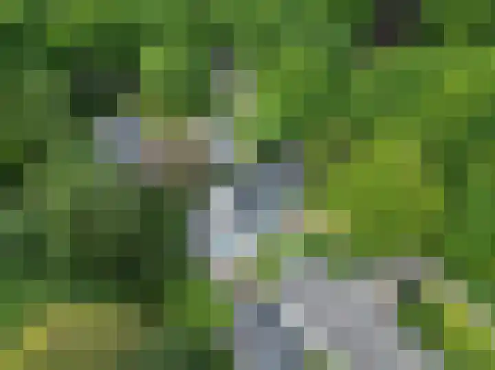 Grotelaan 18 Bunnik thumbnail 47