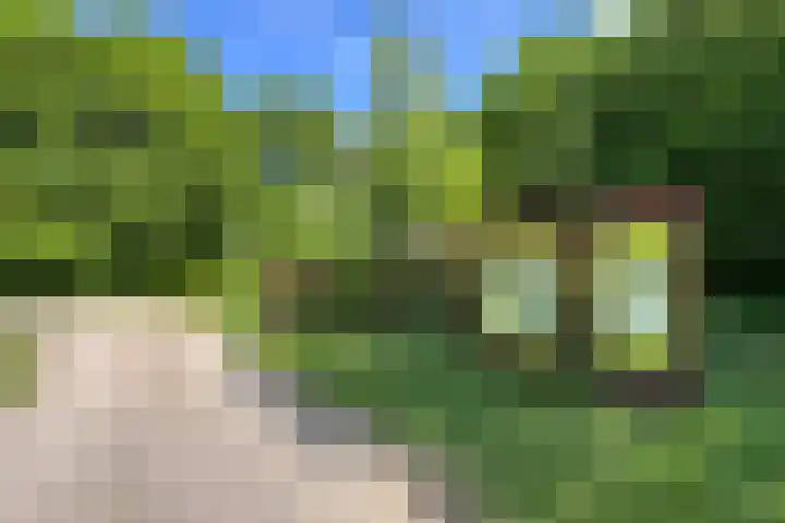 Grotelaan 18 Bunnik thumbnail 49