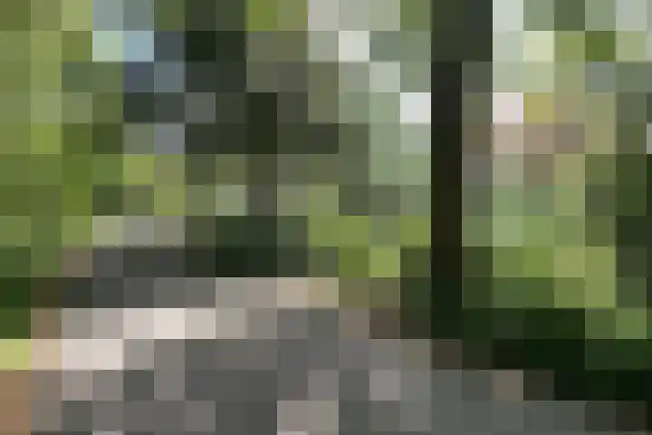Grotelaan 18 Bunnik thumbnail 6