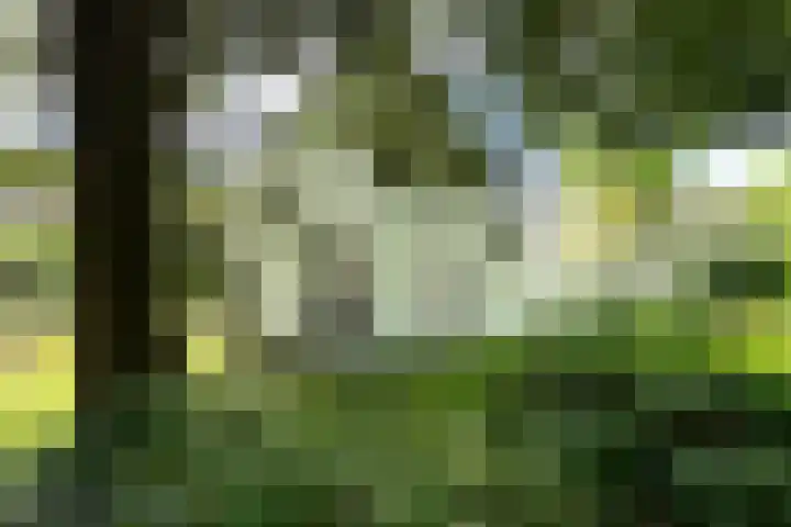 Grotelaan 18 Bunnik thumbnail 7