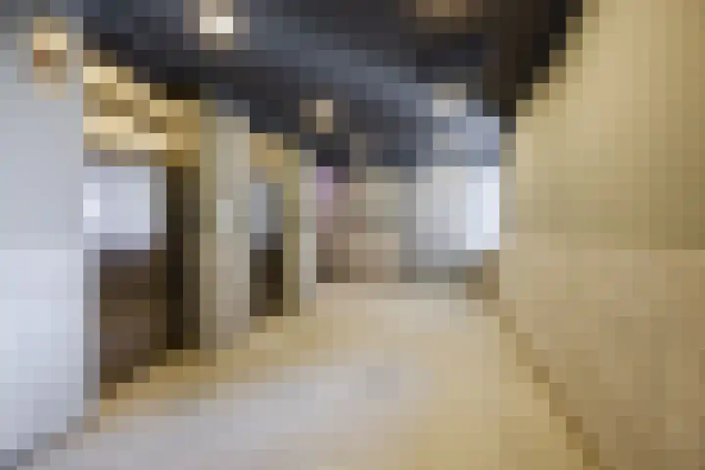 Grotemarkt 114 Rotterdam thumbnail 33