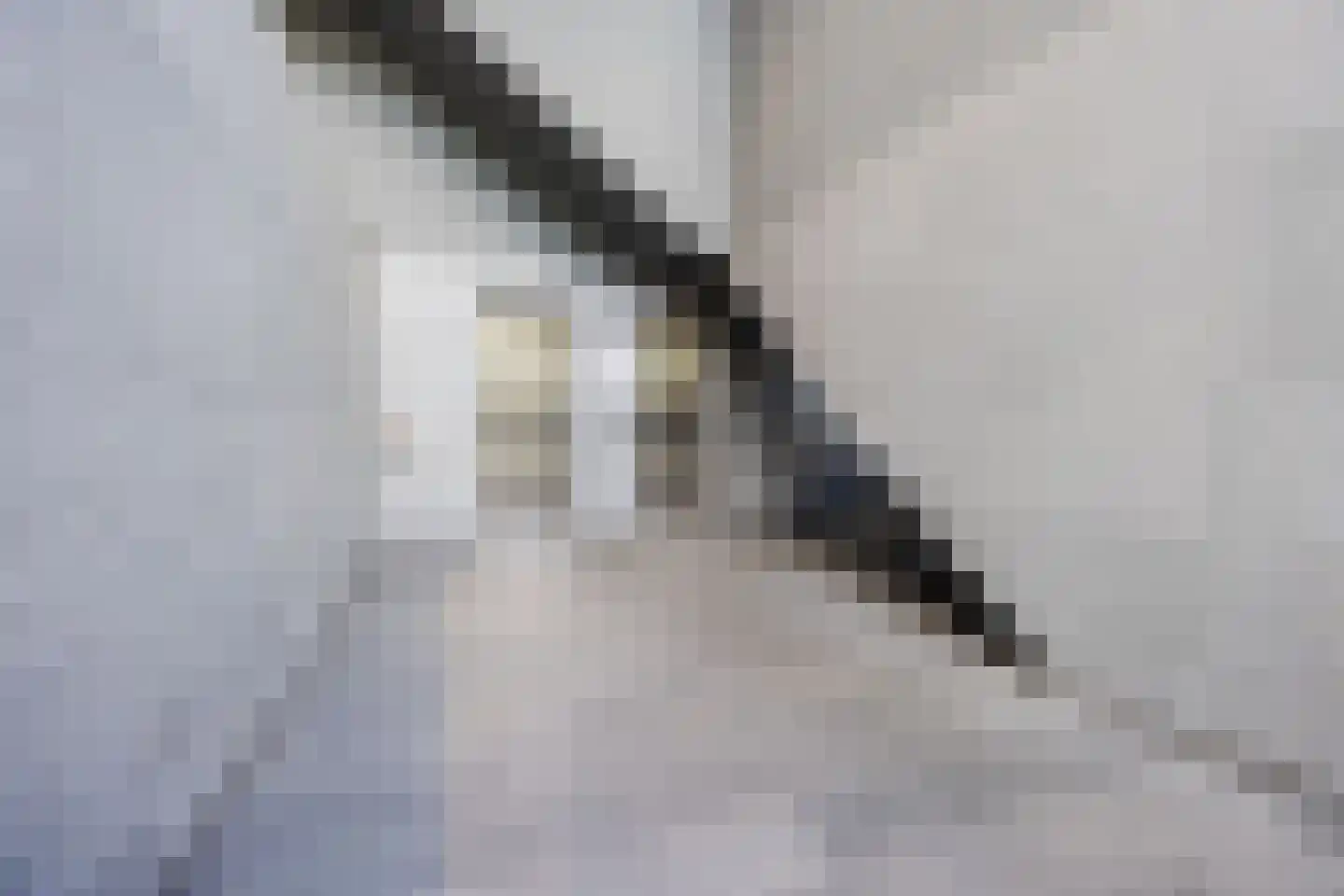 Grotemarkt 114 Rotterdam thumbnail 34