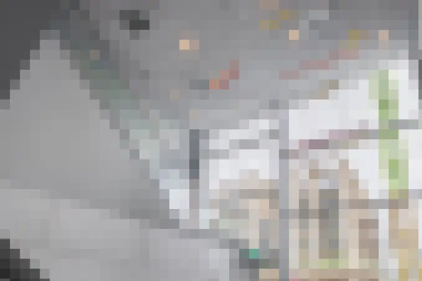Grotemarkt 38 Rotterdam thumbnail 46