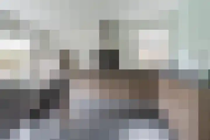 Grotenekker 29 Reusel thumbnail 11