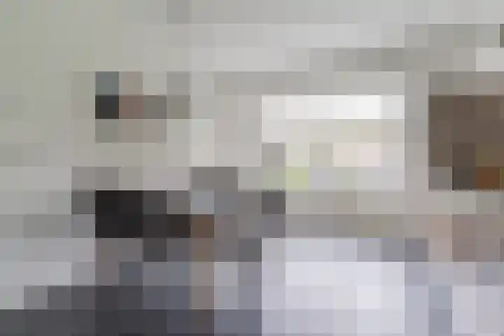 Grotenekker 29 Reusel thumbnail 12