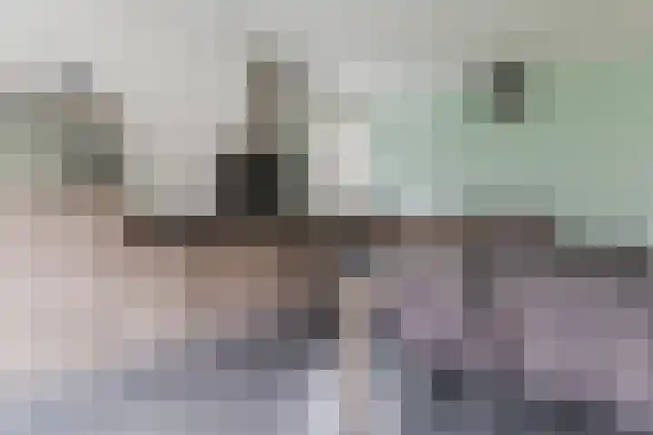 Grotenekker 29 Reusel thumbnail 13