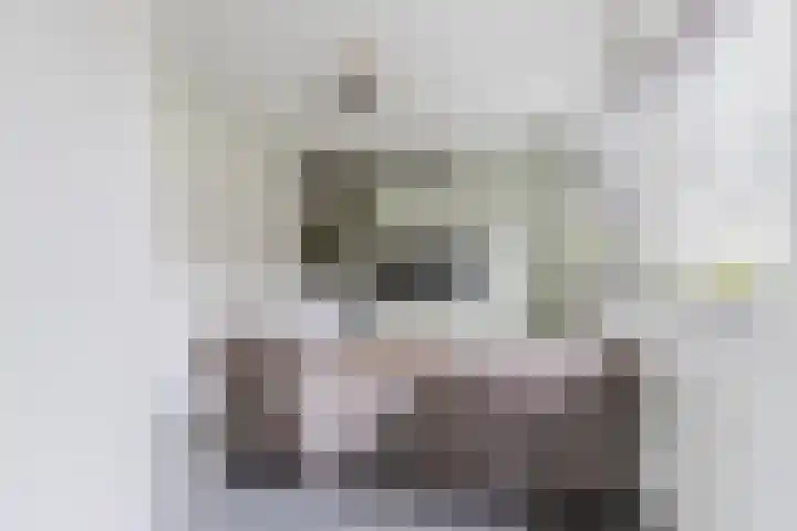 Grotenekker 29 Reusel thumbnail 14