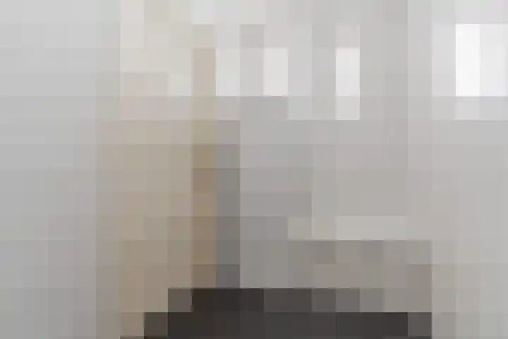 Grotenekker 29 Reusel thumbnail 16