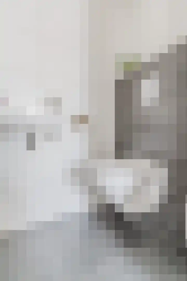 Grotenekker 29 Reusel thumbnail 19
