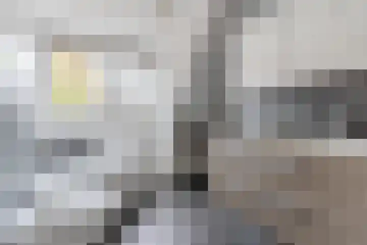 Grotenekker 29 Reusel thumbnail 26