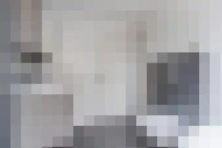 Grotenekker 29 Reusel thumbnail 27