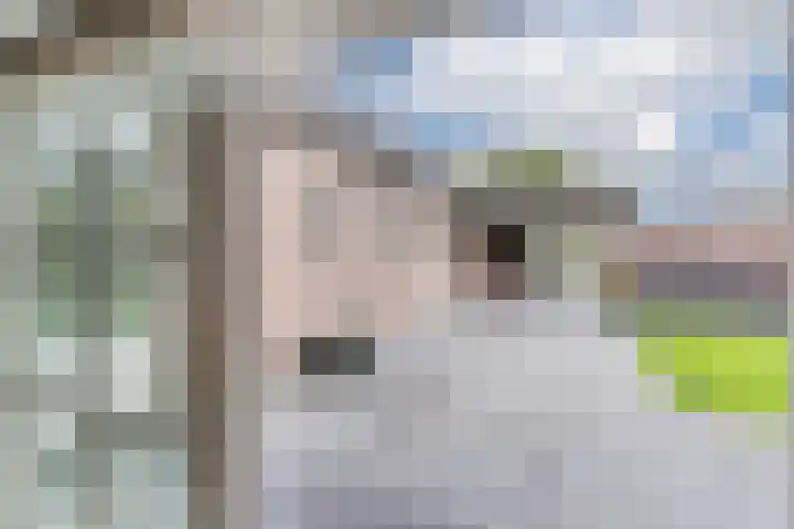 Grotenekker 29 Reusel thumbnail 31