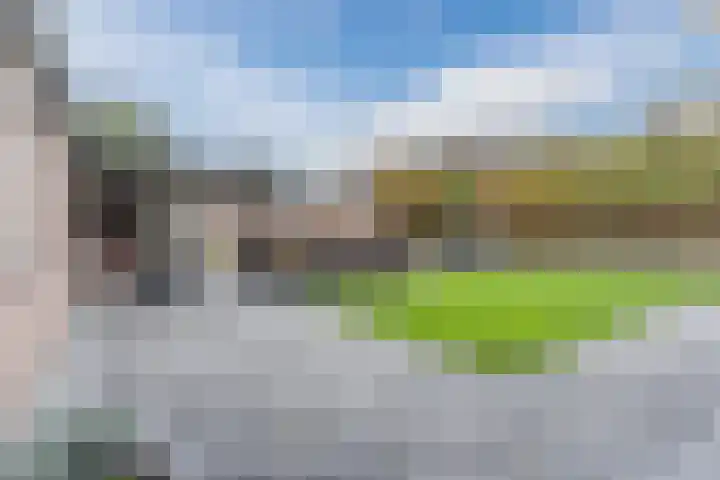 Grotenekker 29 Reusel thumbnail 32