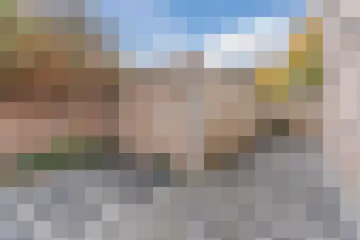 Grotenekker 29 Reusel thumbnail 33