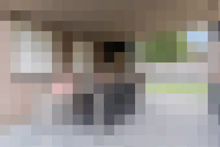 Grotenekker 29 Reusel thumbnail 35