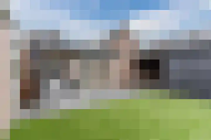 Grotenekker 29 Reusel thumbnail 36