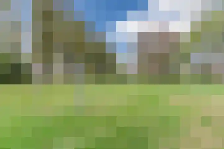 Grotenekker 29 Reusel thumbnail 37