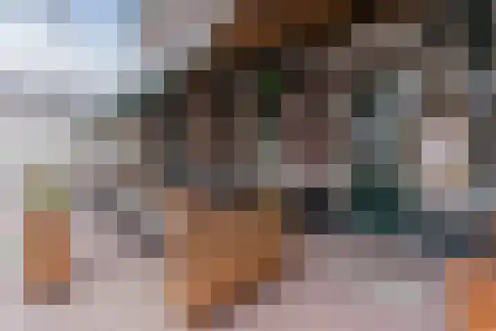 Grotenekker 29 Reusel thumbnail 38