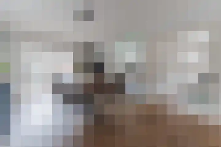 Grotenekker 29 Reusel thumbnail 8