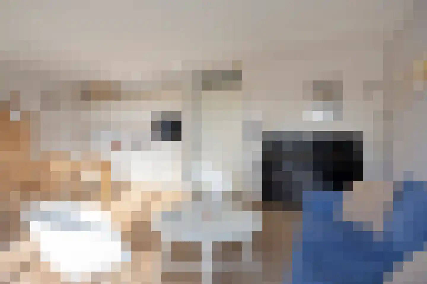 Grotenhuisstraat 44 Twello thumbnail 16