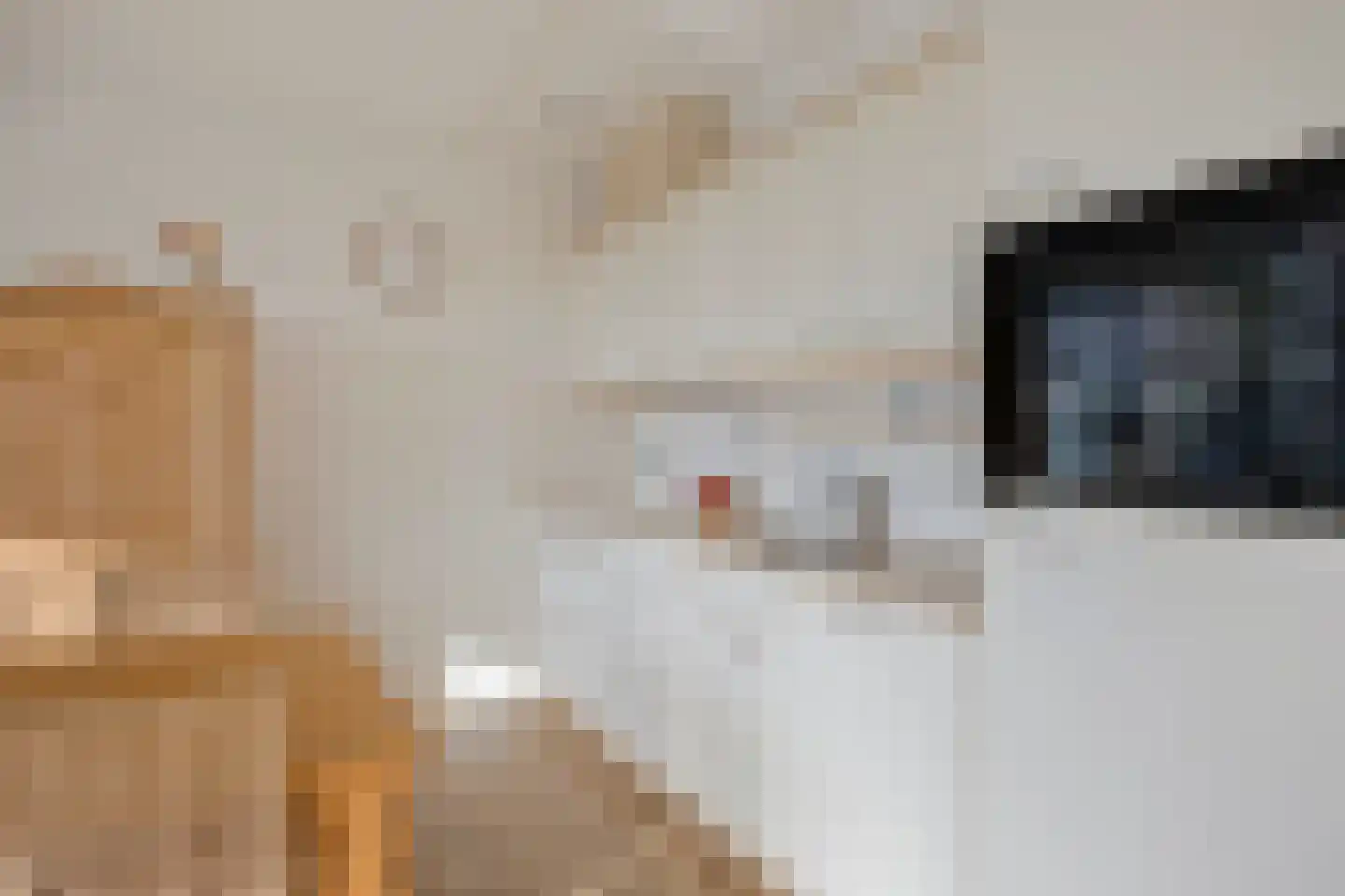 Grotenhuisstraat 44 Twello thumbnail 19