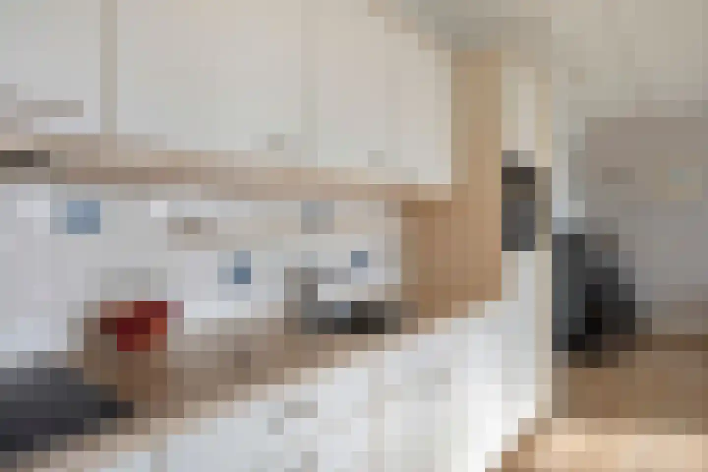 Grotenhuisstraat 44 Twello thumbnail 20