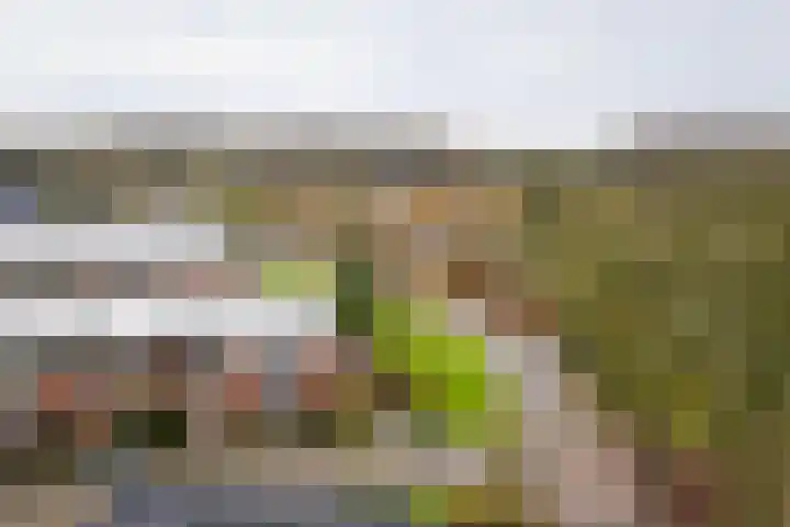 Grotenhuisstraat 52 Twello thumbnail 25