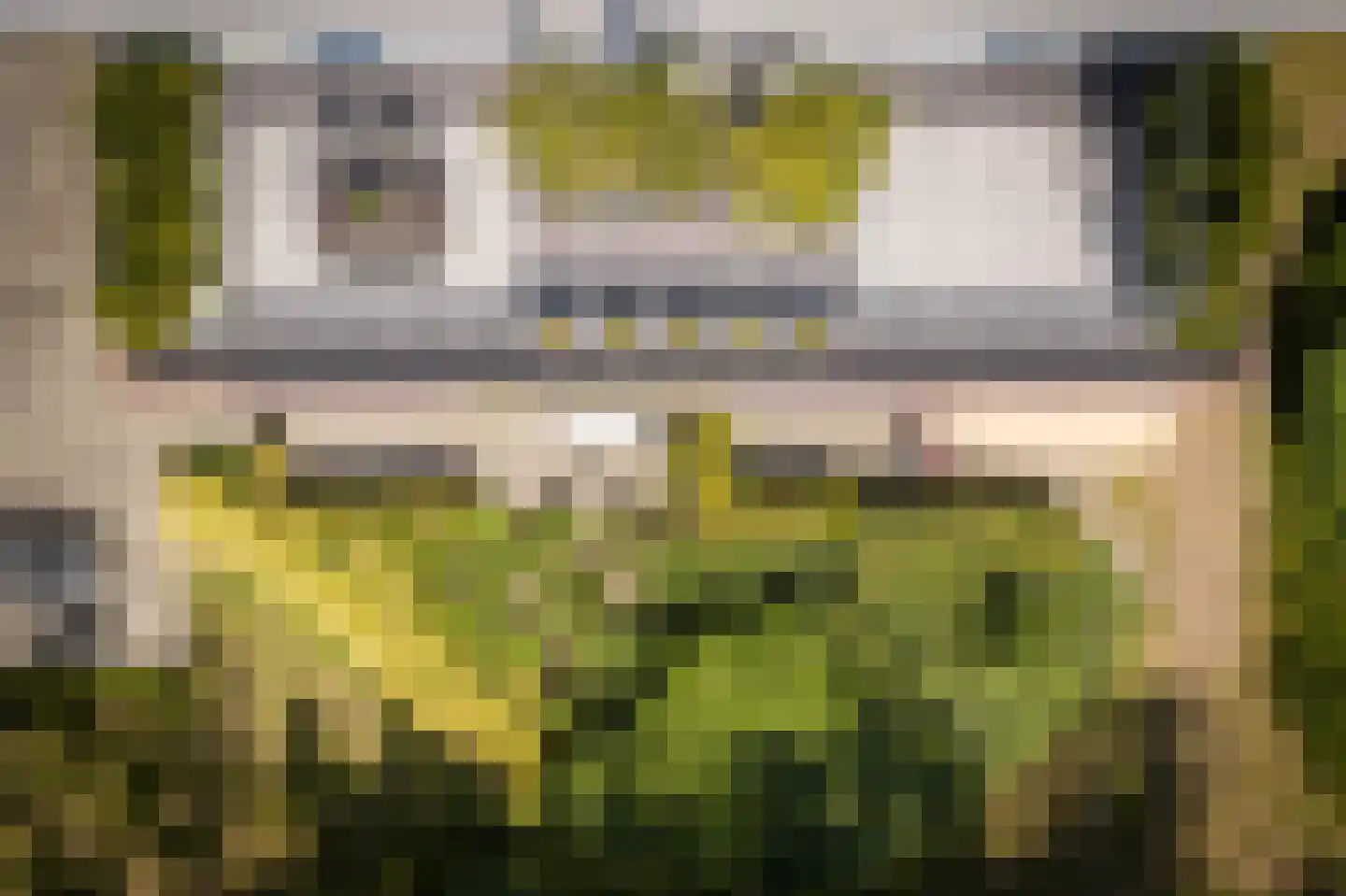 Grotenhuisstraat 58 Twello thumbnail 40