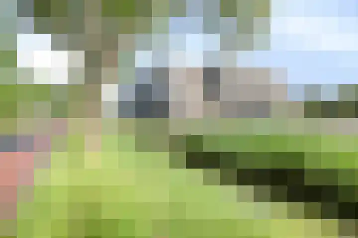 Grotenhuyshof 17 Purmerend thumbnail 30