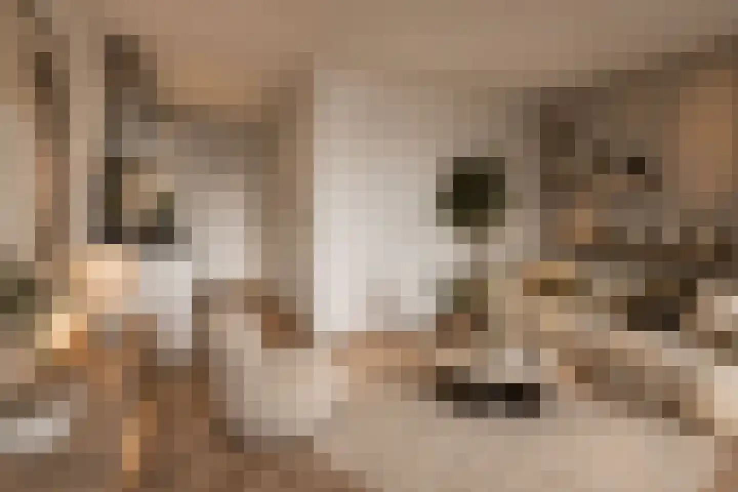Grotenhuyshof 20 Purmerend thumbnail 8