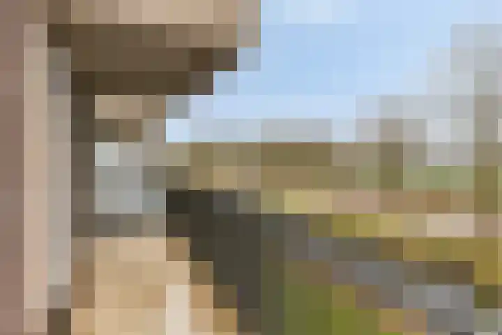 Grotenhuyshof 31 Purmerend thumbnail 17